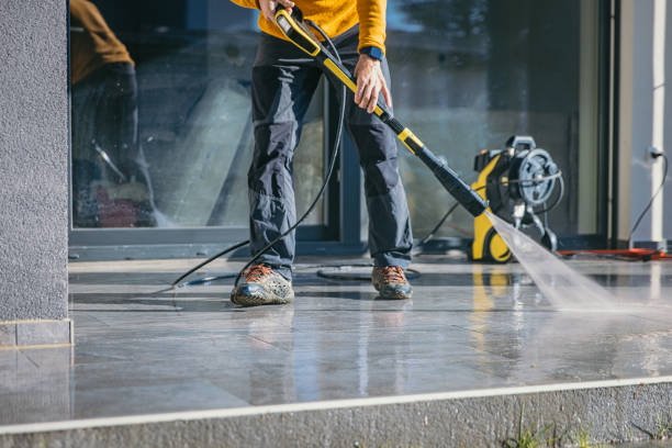 Animal Enclosure Cleaning in De Witt, NY